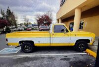 1977 Chevy Truck For Sale Craigslist