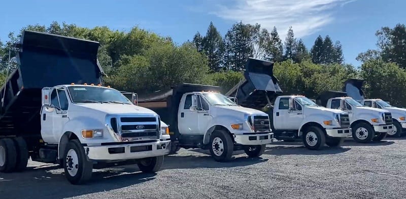 Heavy Duty Dump Truck Fleet for Sale